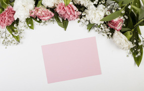 Sheet of paper with carnation flowers on a gray background, template for a postcard