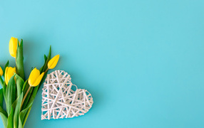 White wicker heart with a bouquet of yellow tulips on a blue background