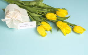 Yellow tulips with a gift on a blue background for mother's day