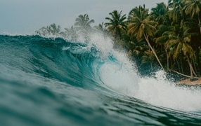 High wave with palm trees on the seashore