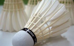 Shuttlecock for playing badminton close-up