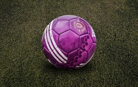 Purple soccer ball on the grass