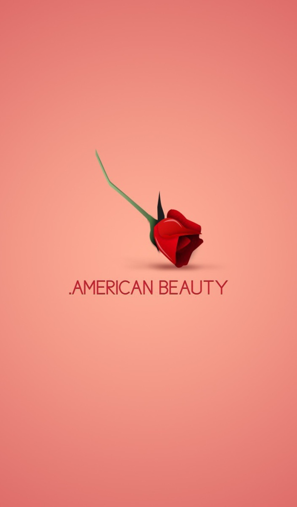 Постер фильма Красота по-американски