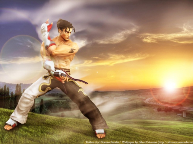 Jin Kazama from Tekken games wallpapers and images - wallpapers