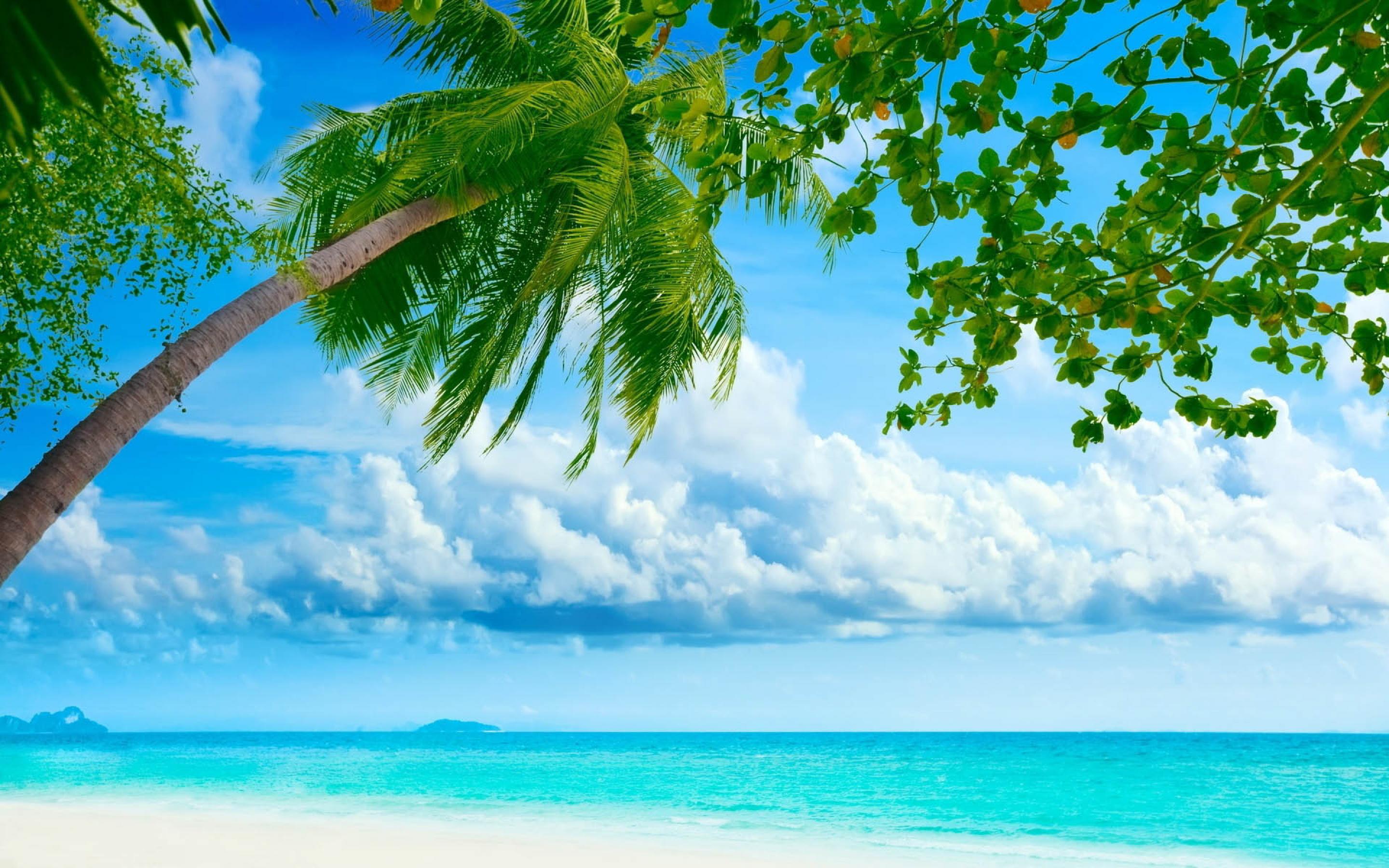 Beach at the blue ocean wallpapers and images - wallpapers, pictures, photos