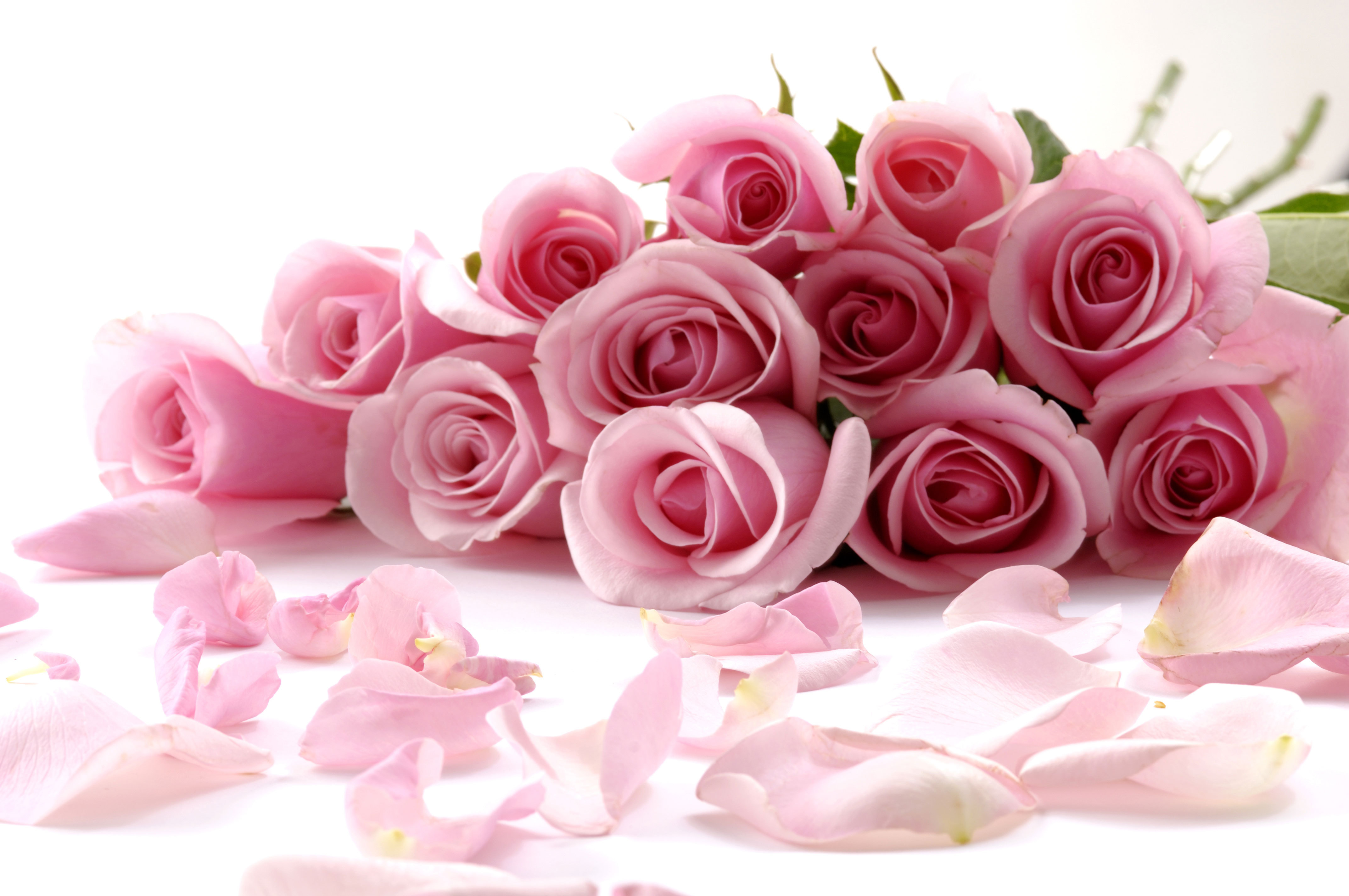 Поздравление С Днем Женщине Картинки Розы