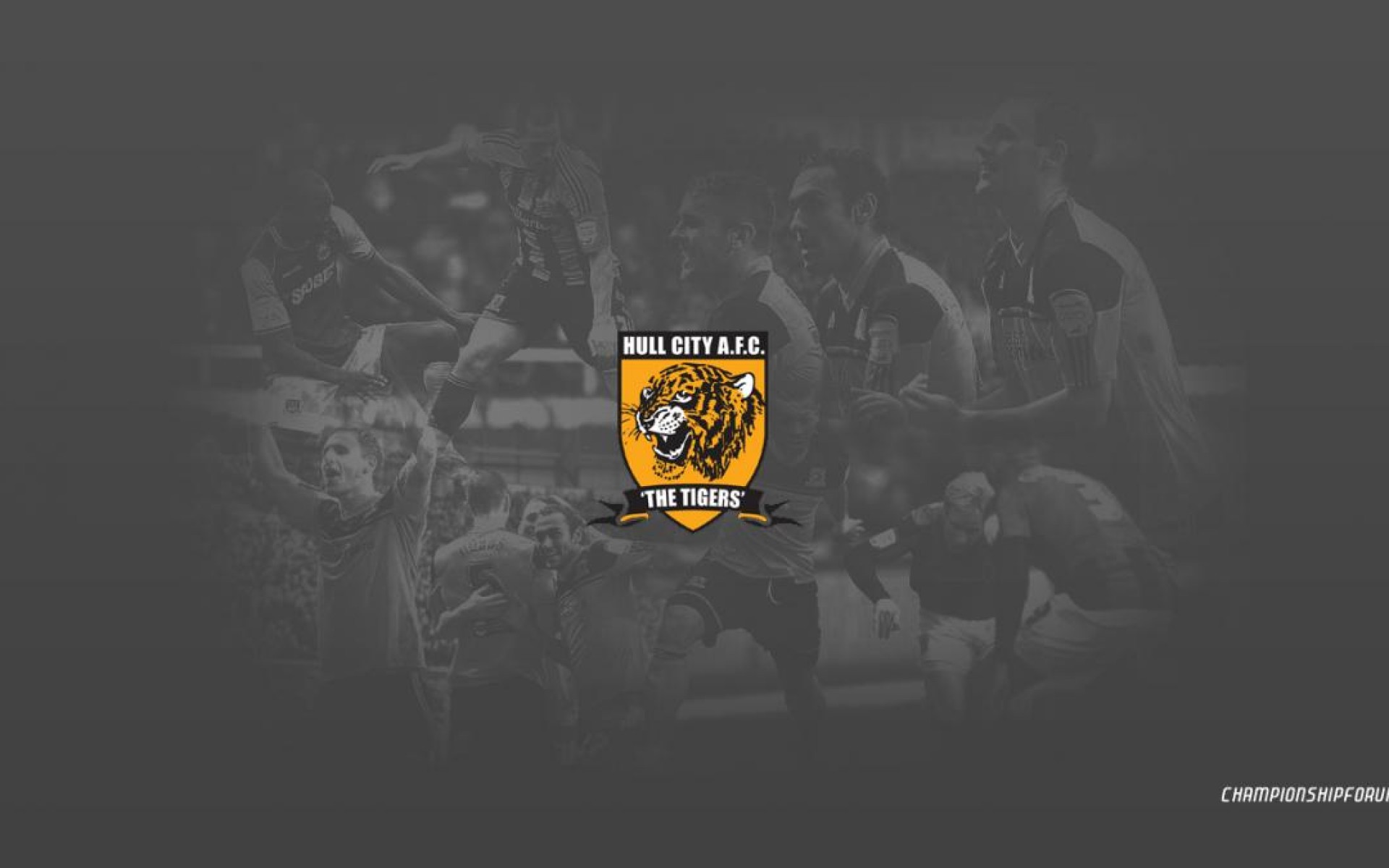 Hull City England